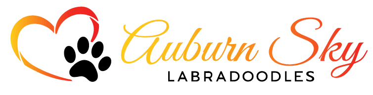 Auburn Sky Labradoodles